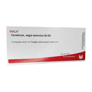Церебрум регио моторика GL D5 амп. №10