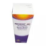 Назакорт (Nasacort) спрей назальный 120доз